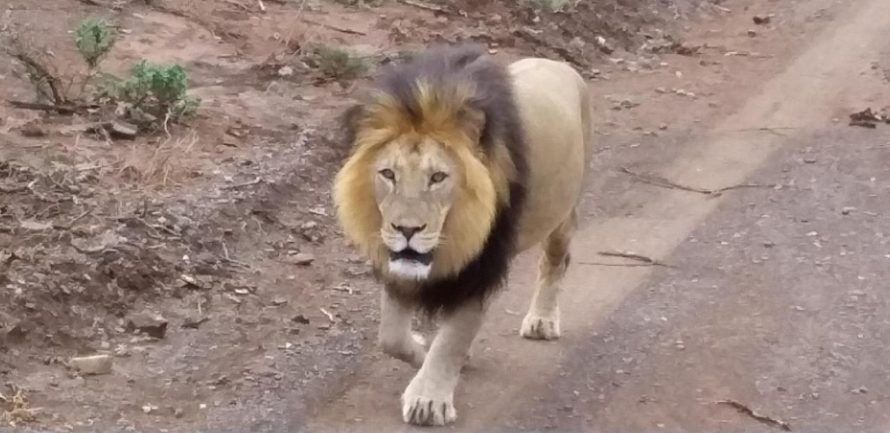 Addo Riverside Villa Colchester Kültér fotó